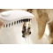 Душевая лейка для собак Hansgrohe DogShower 150 3jet 26640700 - 9