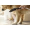 Душевая лейка для собак Hansgrohe DogShower 150 3jet 26640700 - 11