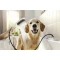 Душевая лейка для собак Hansgrohe DogShower 150 3jet 26640700 - 15