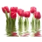 Панно Нефрит-Керамика Фреш тюльпаны